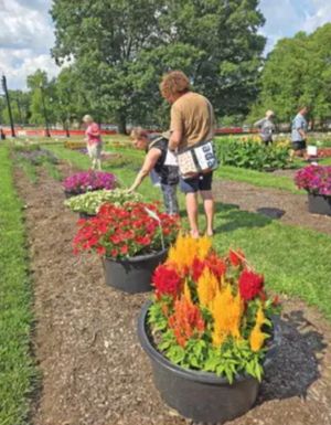 Five people standing in an urban garden with rows of flowers and plants